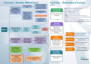 Amc Org Chart