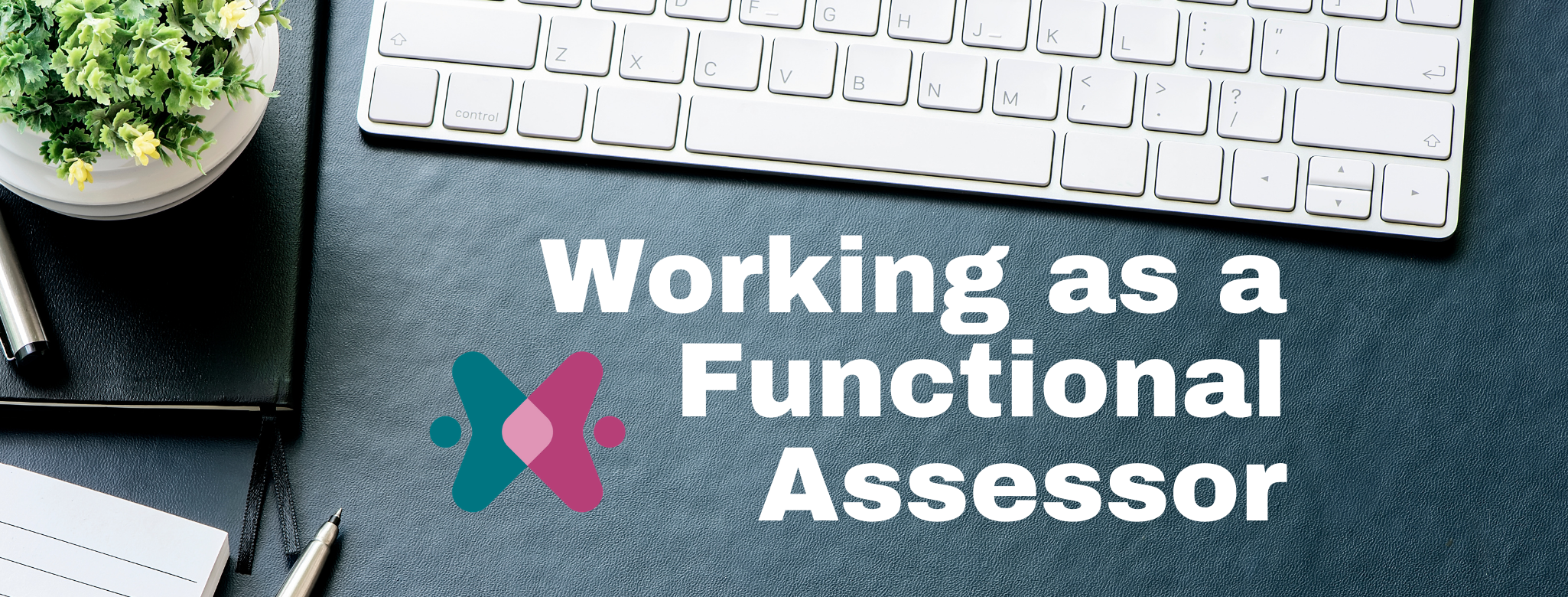 working as a functional assessor